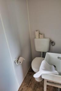 a white bathroom with a toilet and a sink at Finnenhaus 2 in Lübeck