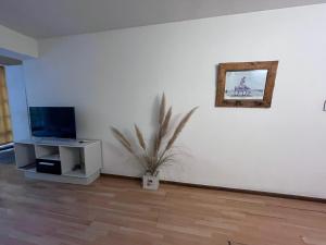 a living room with a tv and a potted plant at Loft plaza España in Mendoza