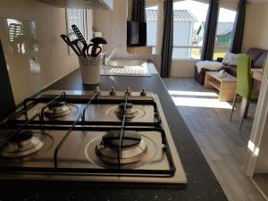 Η κουζίνα ή μικρή κουζίνα στο Chalet Schwarzkopfmöwe am Kransburger See 549