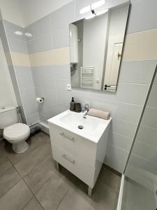 a bathroom with a sink and a toilet and a mirror at 1- Hypercentre,FREE Parking, Clim, wifi, Netflix in Libourne