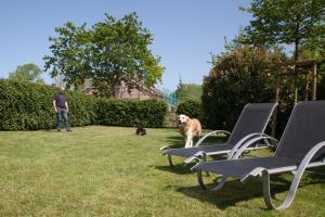 a man and two dogs in a yard with chairs at Austernfischer in Westermarkelsdorf