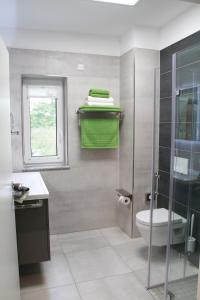 a bathroom with a shower and a toilet and a window at Villa Grün, Loft- Wohnung 09 in Tabarz +4 photos