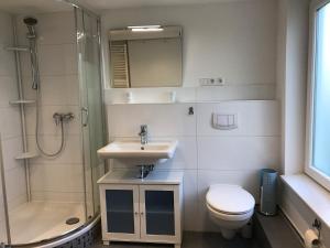 a bathroom with a sink and a toilet and a shower at Ferienhaus Boddenblick in Stahlbrode +11 photos