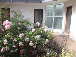Gallery image of Ferienwohnung Freyas Walderlebnis in Stromberg