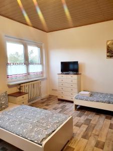 Ένα ή περισσότερα κρεβάτια σε δωμάτιο στο Studio-Apartment für 3 Personen FeWo 3