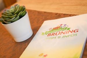 een plant in een witte beker naast een bord bij Familienhof Brüning - Stadtblick in Meppen