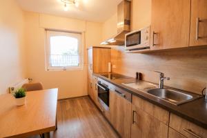 een keuken met een spoelbak en een magnetron bij Familienhof Brüning - Stadtblick in Meppen