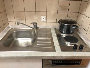 een gootsteen met een kookplaat bij FeWo-POR24 Pfronten in Pfronten