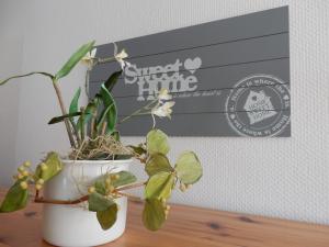 una planta en un jarrón blanco sentado en una mesa en Eichenpark 34, en Prerow