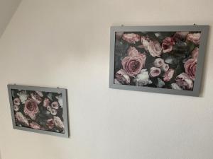 two pictures of pink roses on a wall at Erica Ferienwohnung auf dem Traumpfad in Ettringen
