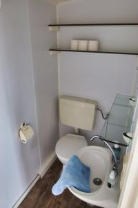 a small bathroom with a toilet and a sink at Finnenhaus 1 in Lübeck