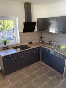 une cuisine avec un évier et un plan de travail dans l'établissement Im Blauen Ländchen, à Lierschied