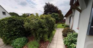 a walkway next to a house with bushes at Fewo Wattfischer II in Cuxhaven