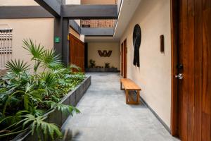 Fotografie z fotogalerie ubytování Bloom Tulum Apartments v destinaci Tulum