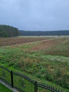an open field with a fence and animals in a field at SECRA Exclusive Ferienwohnung Schlaubetal Müllrose 1 - Seenähe in Müllrose