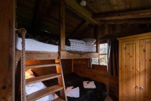 クラウスタール・ツェラーフェルトにあるTiny Chalet 4のキャビン内のベッドルーム1室(二段ベッド2組付)