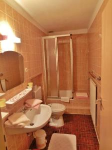 a bathroom with a sink and a toilet and a shower at Sigiswangerhorn in Ofterschwang