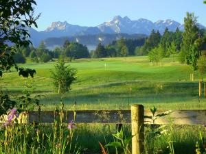 a view of a golf course with mountains in the background at Sigiswangerhorn in Ofterschwang