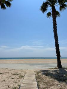 a boardwalk on the beach with two palm trees at Beach Front 2 Bedrooms Apartment in Torredembarra