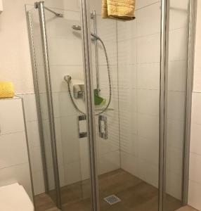 a shower with a glass door in a bathroom at Moderne Ferienwohnung im Herzen von Bad Neustadt in Bad Neustadt an der Saale +1 photo
