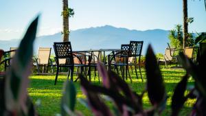a group of chairs and a table in the grass at Buena Vista Chic Hotel in Alajuela