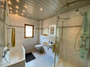 a bathroom with a shower and a toilet and a sink at GRO-Holiday home Comfortable holiday residence in WÃ¶lpinghausen +34 photos