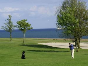 a man standing on a golf course with a dog at Holiday apartment in a thatched house by the beach in Wulfen auf Fehmarn