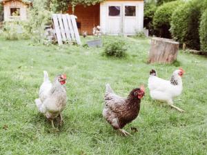 Galeriebild der Unterkunft at the Hartmanns Comfortable holiday residence in Rieden