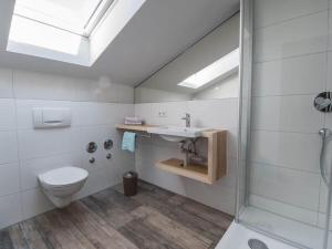 a bathroom with a toilet and a sink and a shower at Holiday house in Immenstaad am Bodensee with 1 bedroom in Immenstaad am Bodensee