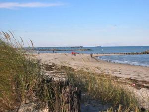 Naturlandskabet i nærheden af feriehuset + 6 billeder
