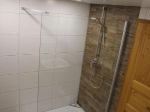 a shower with a glass door in a bathroom at on the Willmann farm in Erlenbach