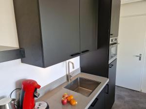 O bucătărie sau chicinetă la Luxury holiday home with Spa +29 fotografii