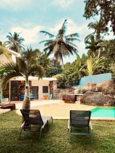 two chairs and a palm tree next to a pool at Lomond House in Gurukanda