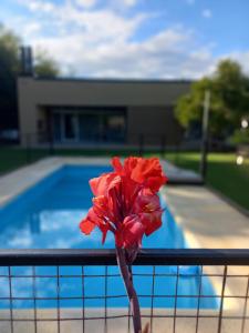 Bazén v ubytování El Descanso Melincue nebo v jeho okolí