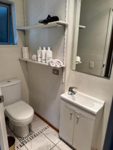 a bathroom with a toilet and a sink and a mirror at Airport Guesthouse in Queenstown