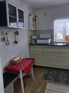 Kuchyň nebo kuchyňský kout v ubytování CĂSUȚA BUNICII CU PRISPĂ