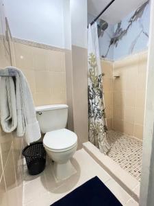 a bathroom with a toilet and a shower at Hospedajes apartamentos full equipada a solo 10- minutos del aropuerto Panamá pasifico 5 minutos de playas y a solo 20 minutos de la ciudad de panama y los principales sitios turísticos in Veracruz +8 photos