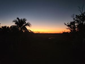 a sunset in a field with a palm tree at Turtle Caye in Sanibel