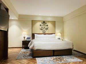 索纳马格Radisson Hotel Sonamarg的相册照片