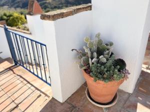 Balkón nebo terasa v ubytování Casa Buena Vista near Granada