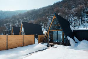 a house with a black roof in the snow at Ari Home Aghveran in Aghveran