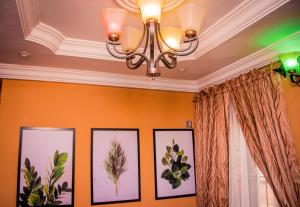 Fotografie z fotogalerie ubytování The Greenerry v destinaci Ado Ekiti