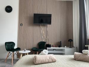 TV a/nebo společenská místnost v ubytování Moderní Apartmán v Děčíně