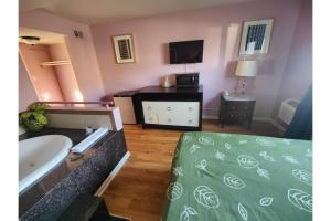 シカゴにあるMotel Edgebrook Chicago North Shore By Oyoのバスルーム(ベッド1台、シンク、テレビ付)