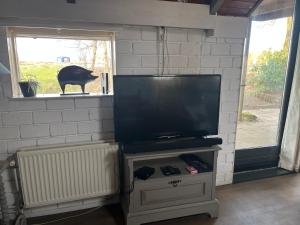TV a/nebo společenská místnost v ubytování Waterjuffer