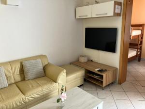 TV a/nebo společenská místnost v ubytování Apartment Niky