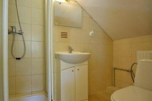 a bathroom with a sink and a shower and a toilet at Domek gościnny Biel in Krościenko