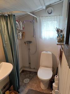 ein kleines Badezimmer mit Toilette und Dusche in der Unterkunft Cozy cottage in Stockholm Archipelago! in Muskö