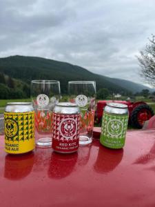 three beer cans and glasses sitting on a table at Great Glen Hostel in Spean Bridge +79 photos