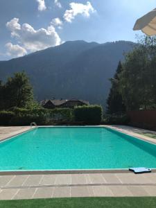 a swimming pool with a mountain in the background at Beautiful family apartment with pool in Carisolo